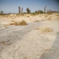 زمین خالق اباد|فروش زمین و ملک کلنگی|سراوان, |دیوار