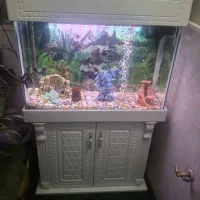 اکواریوم شیشه خم