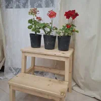 سرویس خواب کودک و چهارپایه چوب روسی