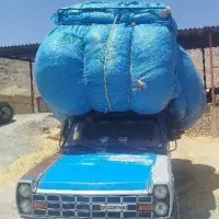 کاه گندم کیلویی 15 فله ای سر زمین