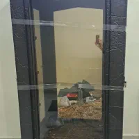 بوفه