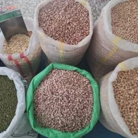حبوبات مستقیم از کشاورز