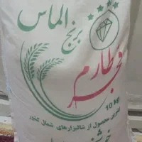 برنج فجر طارم
