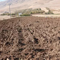 فروش-زمین-کشاورزی