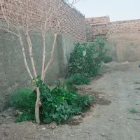 منزل فروشی افتخار اباد کوچه حافظ معاوظه با ماشین