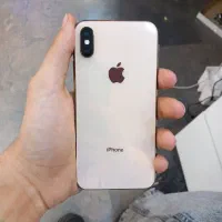 Xs 256