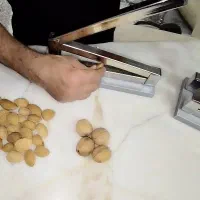 فندق ، پسته و.. گردو شکن برووس