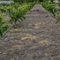 لوله 3/4 آبیاری قطره ای باغبانی