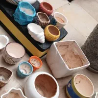 گلدان|گل و گیاه طبیعی|تهران, جنتآباد شمالی|دیوار