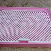 سینی ادرار سگ