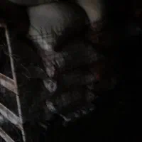 کاه نخودسفیددیم بدون خاک درجه یک
