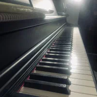 پیانو کاسیو Casio AP470