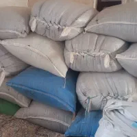 فروش لوبیاقرمز