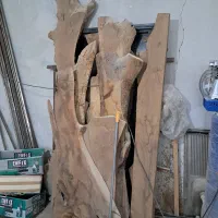 تعدادی چوب گردو برای خراطی و...