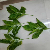 گلدان|گل مصنوعی|تهران, والفجر (افسریه)|دیوار