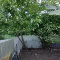 مسکونی/متراژ بالا/ساحلی /منطقه آزاد/قابل تفکیک