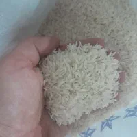 عرضه برنج هاشمی  جهت استعلام قیمت تماس بگیرید.