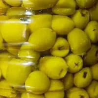 عرضه مستقیم زیتون و روغن زیتون کشت و صنعت طارم دشت