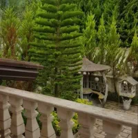 خط تلفن  روند