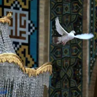 مشهد مقدس استثنایی