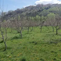 بـاغ|فروش زمین و ملک کلنگی|اهر, |دیوار