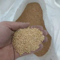 ارزن