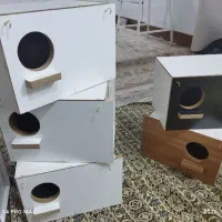 لونه یا لانه عروس هلندی و غیره تکی و عمده نو نو