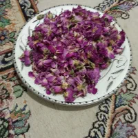 غنچه گل محمدی وتوت خشک