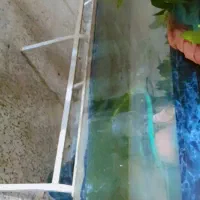 اکواریوم  بزرگ عرض ۲ متر در ارتفاع یک