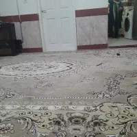دو عدد فرش ۶ متری