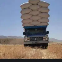 خریدار کاه دیم