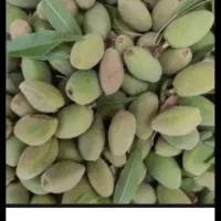 خریدوفروش بادام کشمش شما هستیم به صورت نقدی