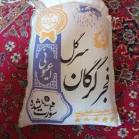 برنج فجرگرگانی