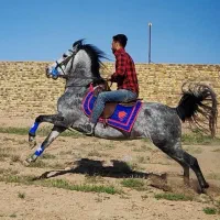 خرید و فروش