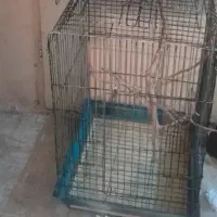 تعدادی قفس