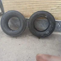 لاستیک جینو ،235