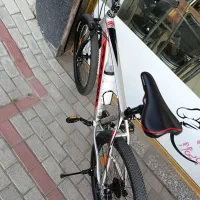 دوچرخه 26فونیکس