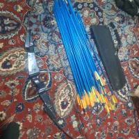 تیرکمان کامپوند