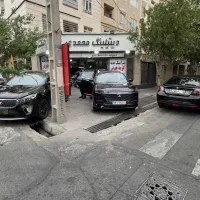 شاخ‌ترین مجموعه محمدی شعبه شرق کاوربدنه هگزیس