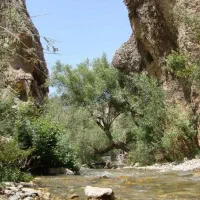 تور طبیعت گردی