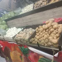 میوه-فروشی-فعال