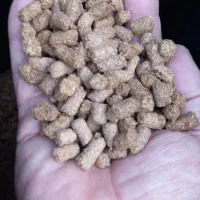 غذای ماهی کپور