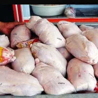 مرغ گرم با قیمت باور نکردنی