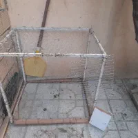 لانه مرغ وکفتر