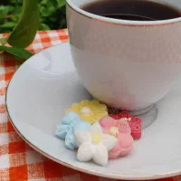 آبنبات و قند و نبات گیاهی و فانتزی