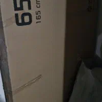 کارتن تلویزیون