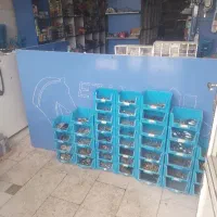 فروش قفسه ام دی اف نو