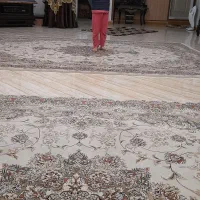 یک جفت فرش ۶متری ۵۰۰شانه سالم