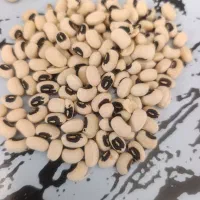 لوبیا چشم بلبلی