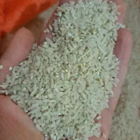 برنج نیم دانه هاشمی